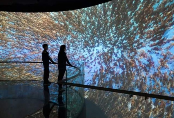 展館展廳多媒體設(shè)計(jì)