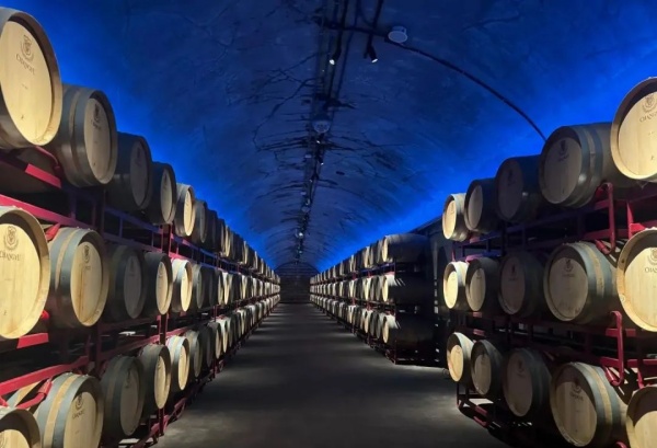 酒文化博物館設計